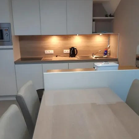 Appartement Met Ruim Terras En Garagebox Te Westende ミデルケルケ